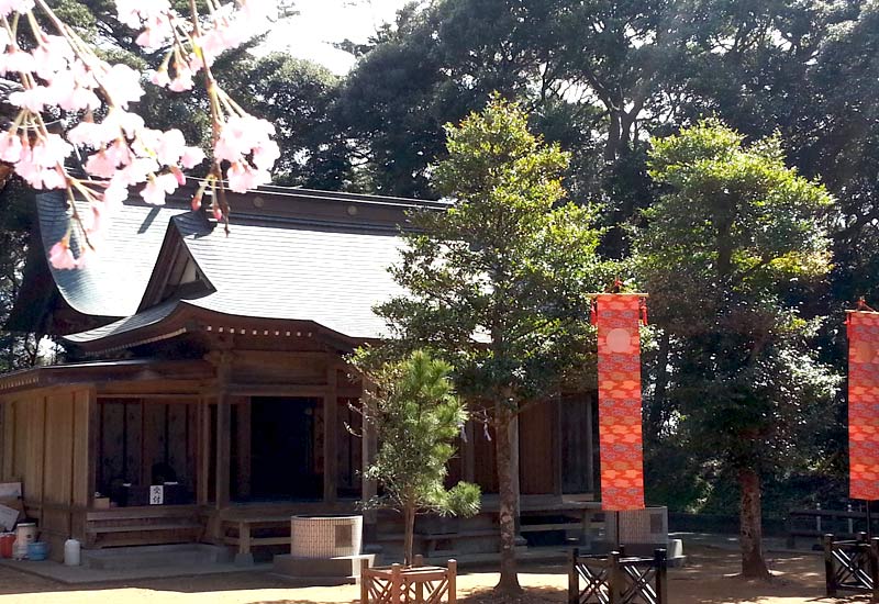 左右大神
