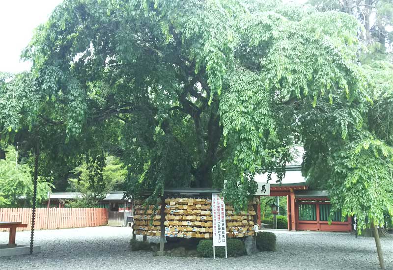 富士山本宮浅間大社 絵馬