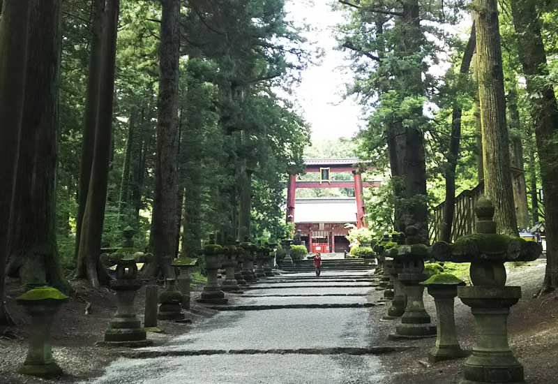 北口本宮冨士浅間神社 参道