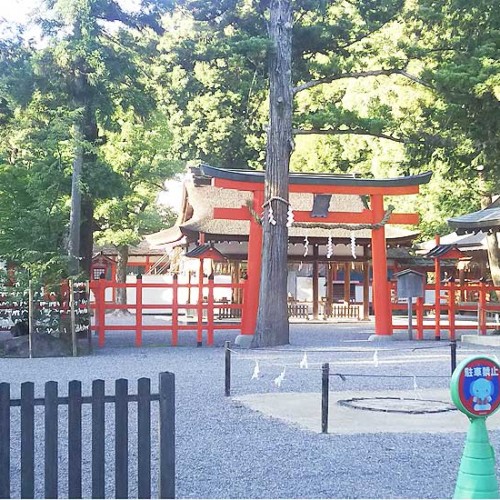 吉田神社 境内