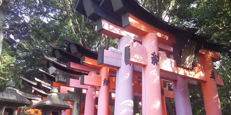 稲荷神社 鳥居