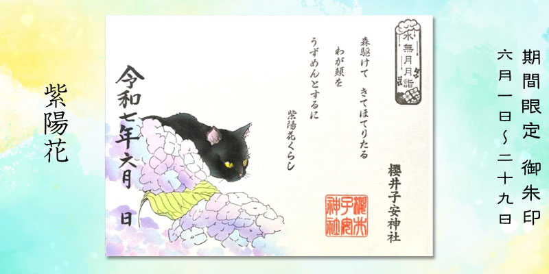 令和7年6月限定御朱印『紫陽花』