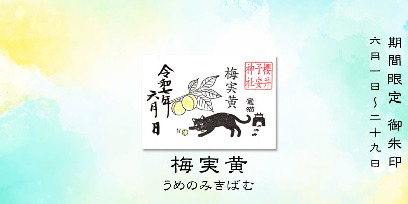 令和7年6月限定ミニ御朱印